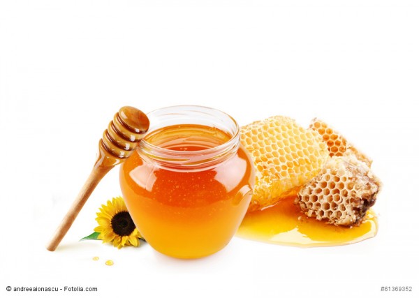 Von der Biene zum Honig