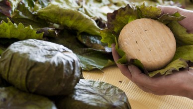 Video: ? Alles Käse ? All das, kann ich als Kunde erkennen...