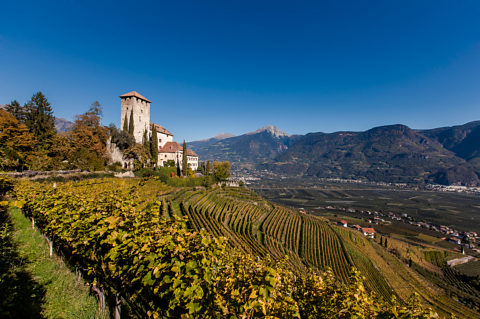 Was sollte man über Südtirol und den Wein wissen...