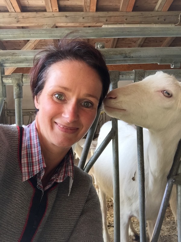 6 Uhr Morgens am Untereggerhof in Mühlbach: so macht man Ziegenkäse!