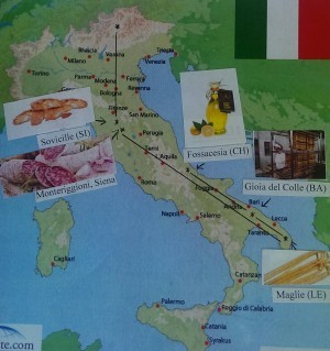 IMAG0585_1-e1446843433700