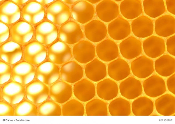 Fotolia_57906107_S_copyright-600x426