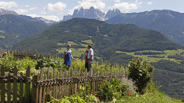 Der Bauerngarten: Ein buntes Fleckchen Erde...