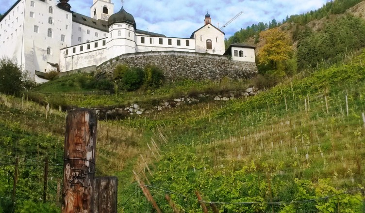 Über die „Piwi Weine aus Laatsch und Marienberg“; dem Herrgott ein Stückchen näher!