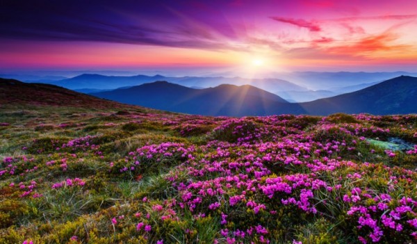 Fotolia_49545683_S_copyright-752x440