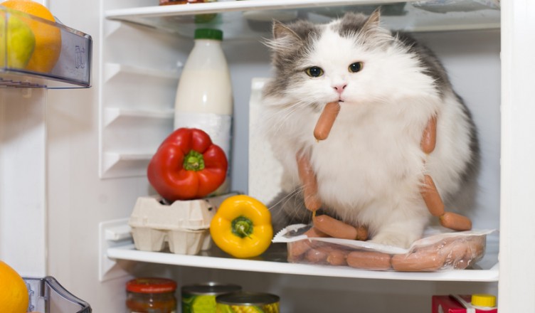 Schmecken kann jeder...Geschmack ist ein Gefühl