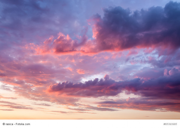 Fotolia_65393985_S_copyright