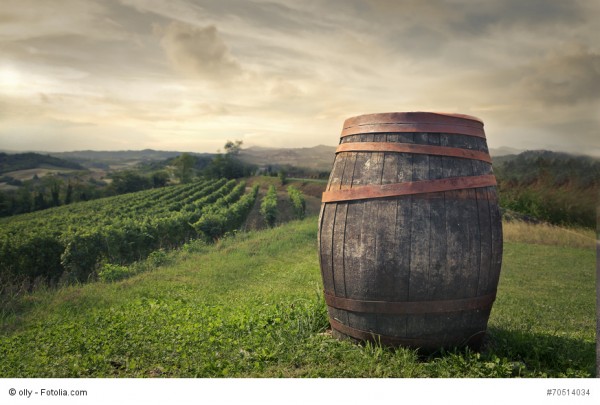 Die Südtiroler Weinernte 2017