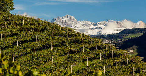 Crashkurs Wein 7: Die Berge und der Weinberg...